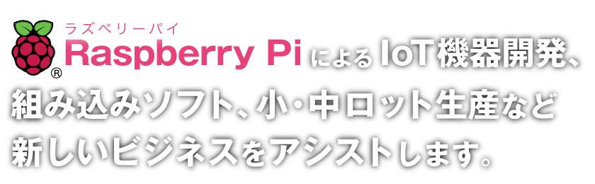 ラズベリーパイによるIoTのハードウェア開発からソフトウェア開発、小・中ロット生産までトータルで新しいビジネスをアシストします。